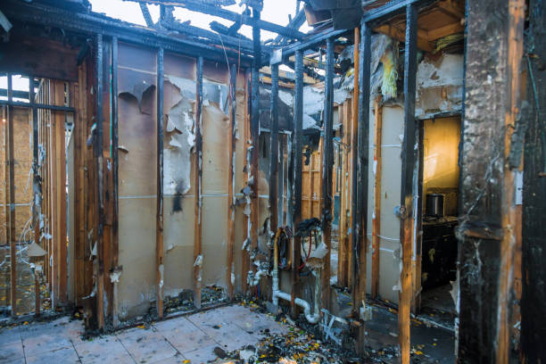 Professional Fire Damage Repair technician working in Riva, MD